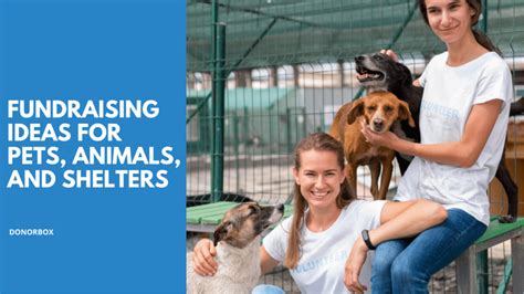 animal shelter fundraiser ideas|18 Effective Animal Shelter Fundraising Ideas .